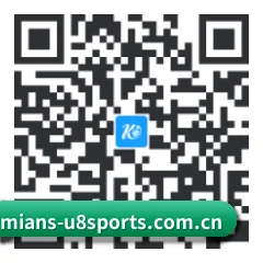 系统版 iOS 二维码